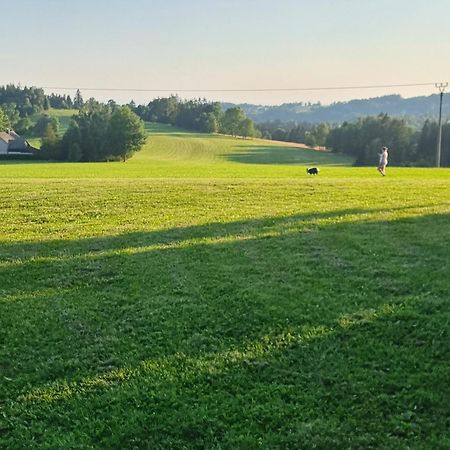 Roubenka Mlyn U Skaly Destne V Orlickych Horach Volne Terminy 5 Bytu Exteriér fotografie