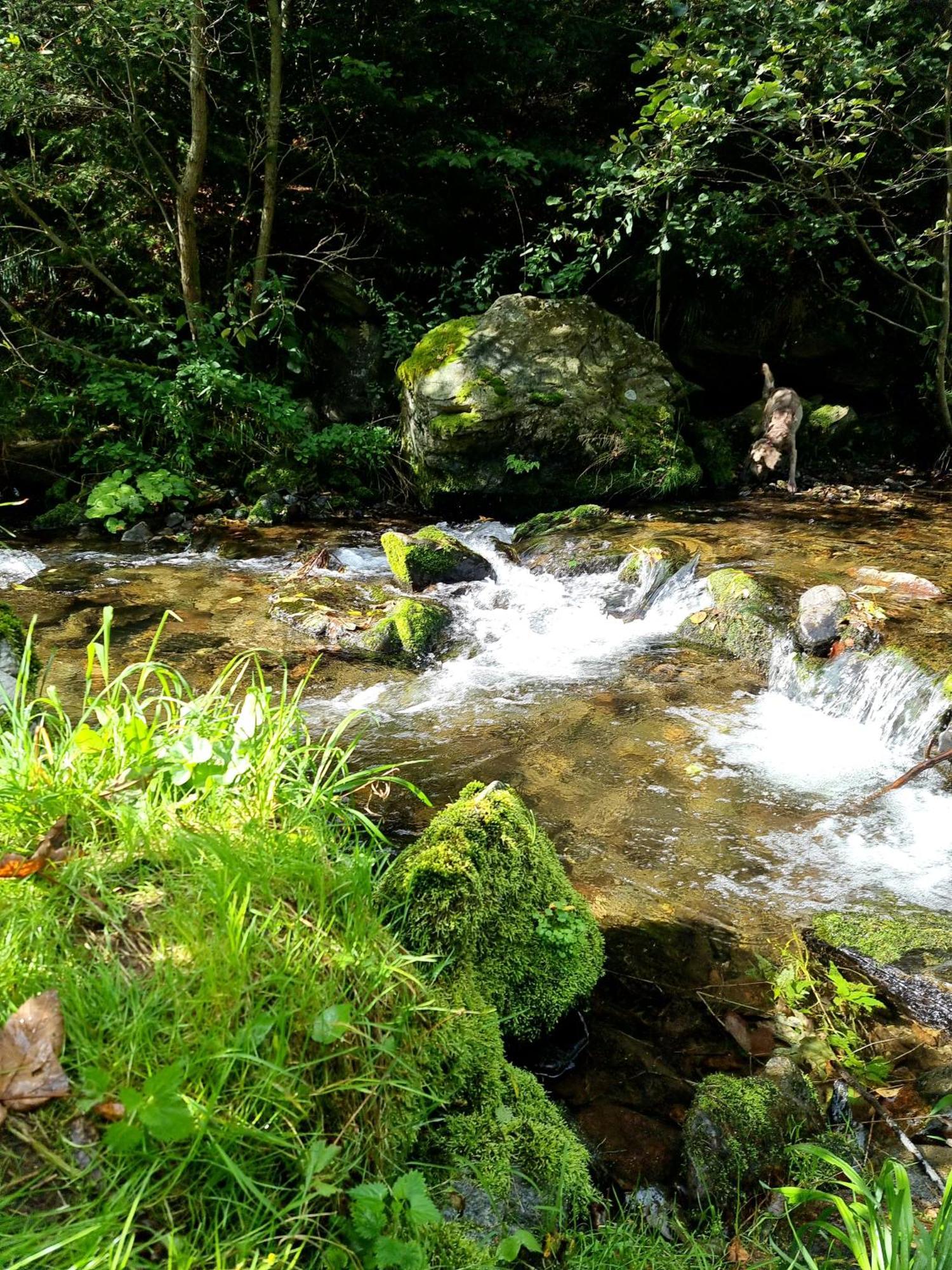 Roubenka Mlyn U Skaly Destne V Orlickych Horach Volne Terminy 5 Bytu Exteriér fotografie
