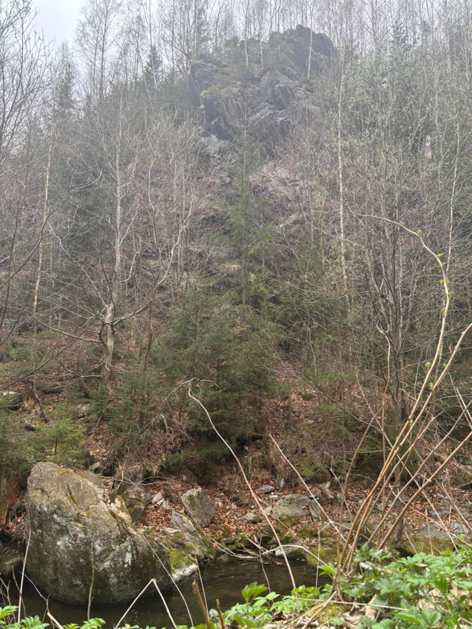 Roubenka Mlyn U Skaly Destne V Orlickych Horach Volne Terminy 5 Bytu Exteriér fotografie