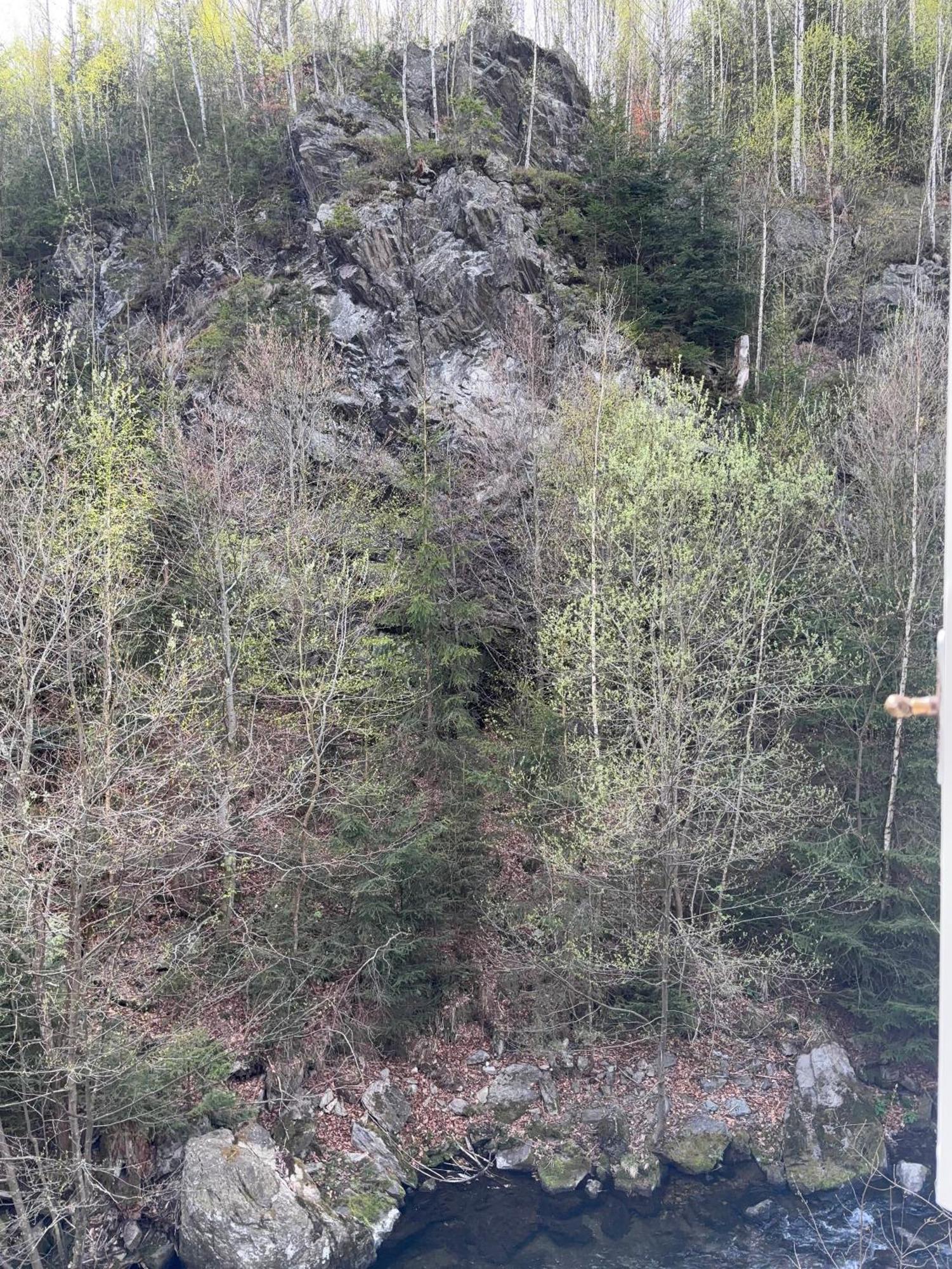 Roubenka Mlyn U Skaly Destne V Orlickych Horach Volne Terminy 5 Bytu Exteriér fotografie