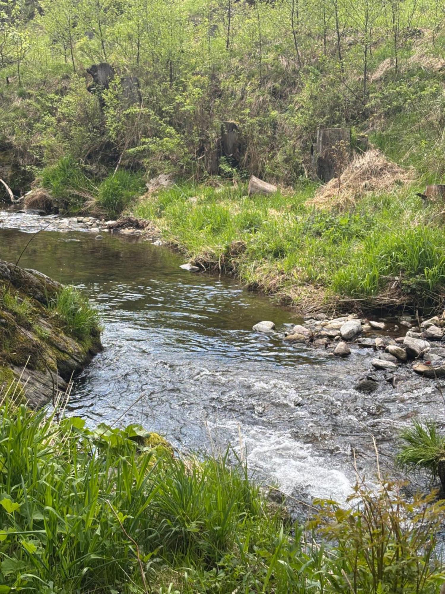 Roubenka Mlyn U Skaly Destne V Orlickych Horach Volne Terminy 5 Bytu Exteriér fotografie